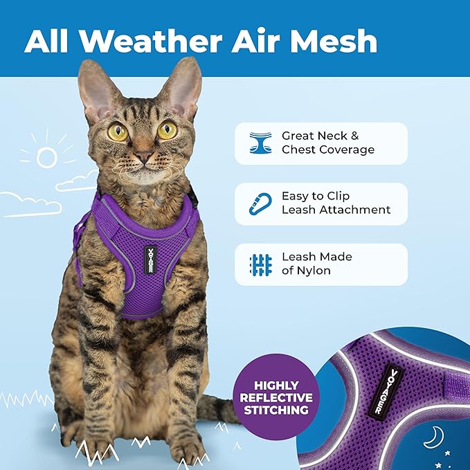 Voyager Escape Proof Cat Harness and Leash Set with Reflective Stitching, Neoprene Handle 5ft - Supports Small, Medium and Large Cats, Kittens for Walking by Best Pet Supplies - Purple, XXS