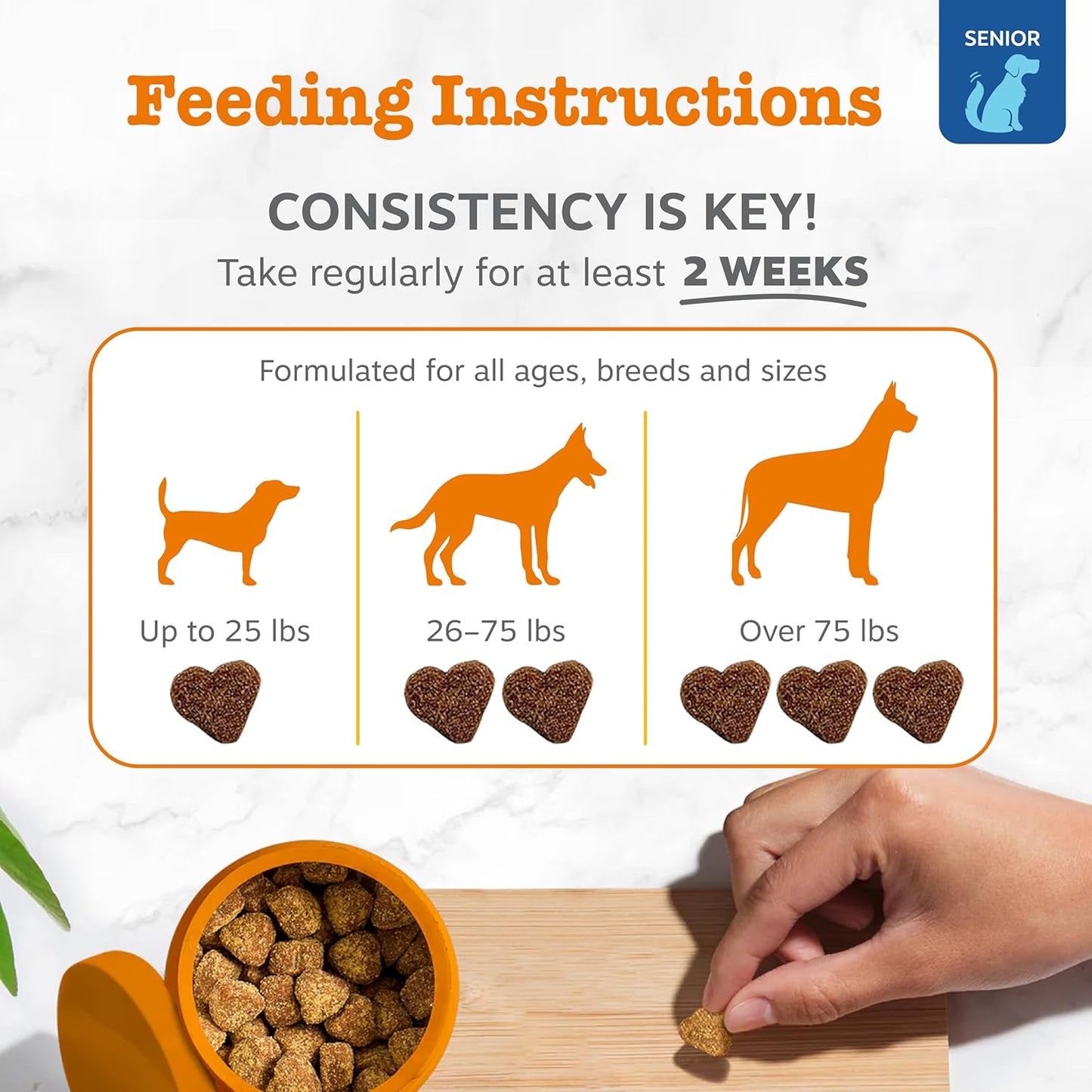 Zesty Paws Dog Allergy Relief - Anti Itch Supplement - Omega 3 Probiotics for Dogs - Stop Paw Licking - Soft Chews for Skin Health & Seasonal Allergies - with Epicor Pets - Senior - Salmon - 90 Count