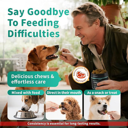 Dog Hip and Joint Supplement, 15-in-1 Advanced Glucosamine for Dogs with Chondroitin, MSM, New Zealand GLM, Pea, Omega 3 - Beef Flavor - 90 Soft Chews, Fits All Breeds and Sizes