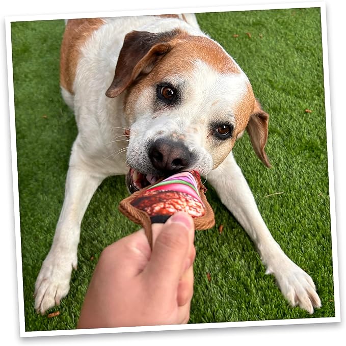 Doggijuana Tuffer Chewer Mini Plush Dog Toy | Funny Dog Toy Plush with Juananip Catnip for Dogs | Calming Aid for Dogs | Interactive Squeaky Chew Toy for Play (Kebab)