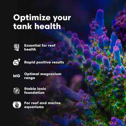 Brightwell Aquatics Magnesion Liquid Salt Water Conditioner - Concentrated Magnesium Supplement For Reef and Marine Aquariums, 16.9 fl oz