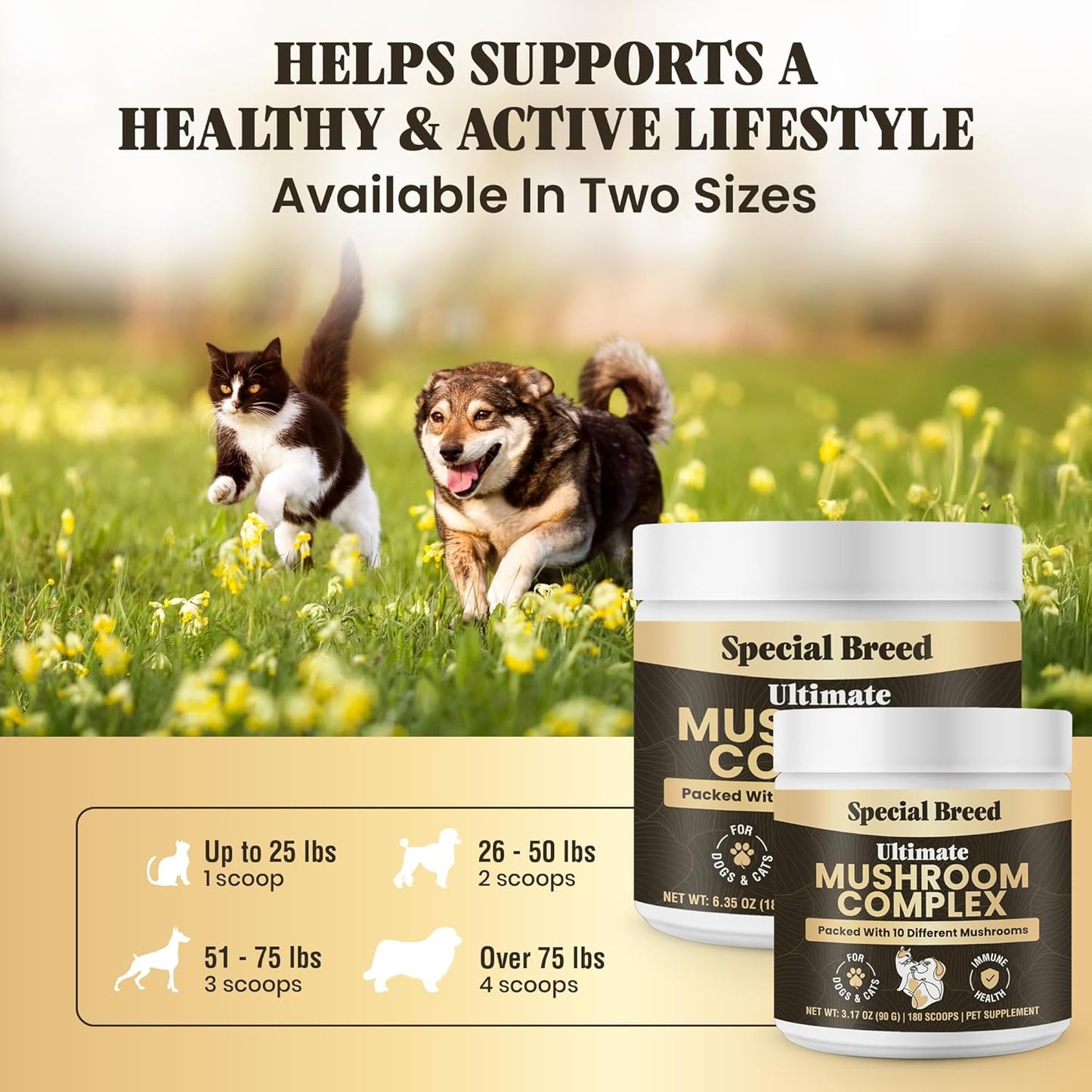 Mushroom Powder for Dogs & Cats - Organic Mushroom Complex for Immune Support, Cognition, Vitality - Ten Mushroom Supplement with Turkey Tail, Lion's Mane, Reishi - 180 Scoops