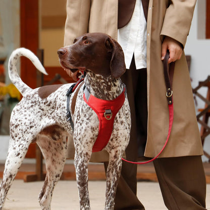 No Pull Dog Harness Medium Sized Dog,Stylish PU Leather Vest with Easy Control Handle,No Choke Front Clip with 2 Metal Leash Clips,Reflective & Adjustable for Walking,Red,Chest 27-33"