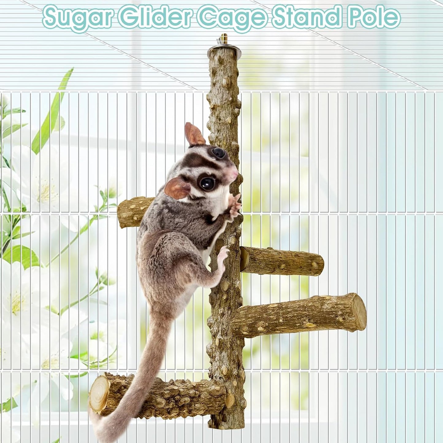 BNOSDM Sugar Glider Toy Natural Prickly Ash Wood Perch Stand Squirrel Hanging Wooden Climbing Pole Hamster Paw Grinding Perch Small Animal Cage Accessories for Chinchillas Rats Gerbil