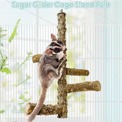 BNOSDM Sugar Glider Toy Natural Prickly Ash Wood Perch Stand Squirrel Hanging Wooden Climbing Pole Hamster Paw Grinding Perch Small Animal Cage Accessories for Chinchillas Rats Gerbil