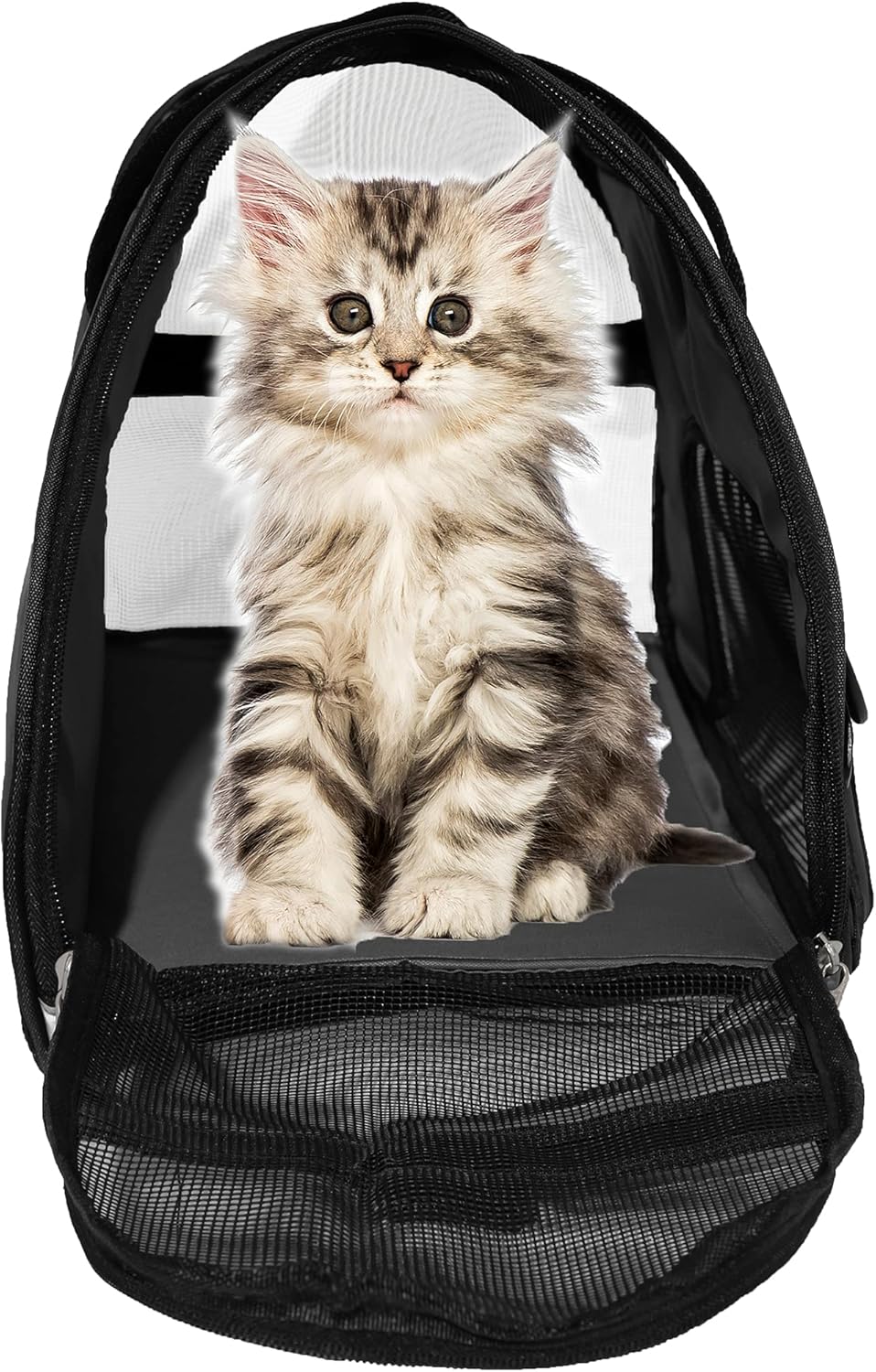 Pet Carrier Soft-Sided Carriers for Cat Carriers Dog Carrier for Small Medium Cats Dogs Puppies Pet Carrier Airline Approved Cat Dog Pet Travel Carrier (Medium,Black)