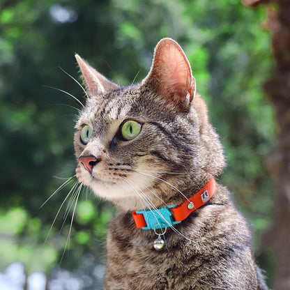 New Kittyrama Cat Collar with Bell. As Seen in Vogue. Breakaway, Quick Release, Hypoallergenic, Vet Approved. Lightweight Kitten Collar. Soft & Comfy. Saffron