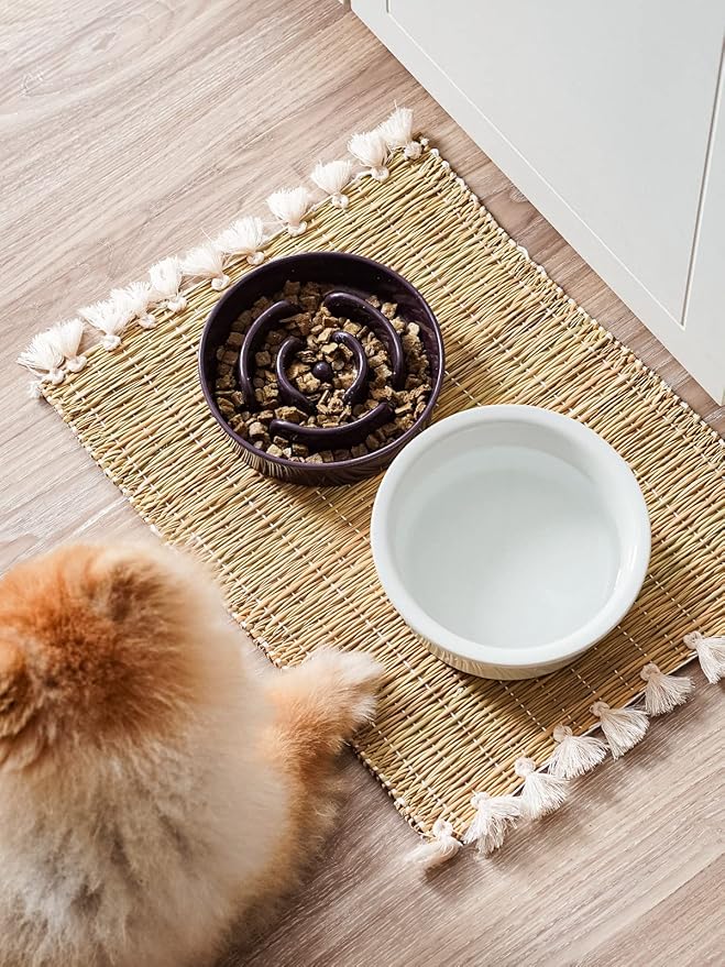 LE TAUCI Ceramic Slow Feeder Dog Bowls Small Breed, 0.6 Cups Dog Food Dish for Fast Eaters, Puzzle Bowl for Small Dogs and Cats,Purple