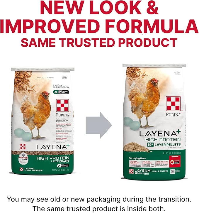 Purina Layena + High Protein Layer Chicken Feed (40 Pound)