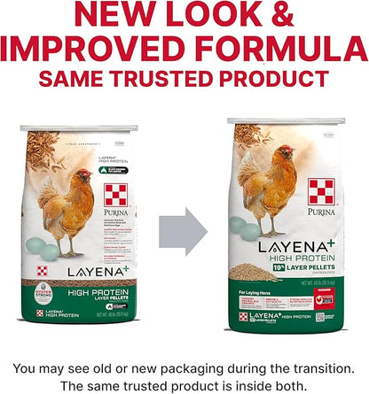Purina Layena + High Protein Layer Chicken Feed (40 Pound)