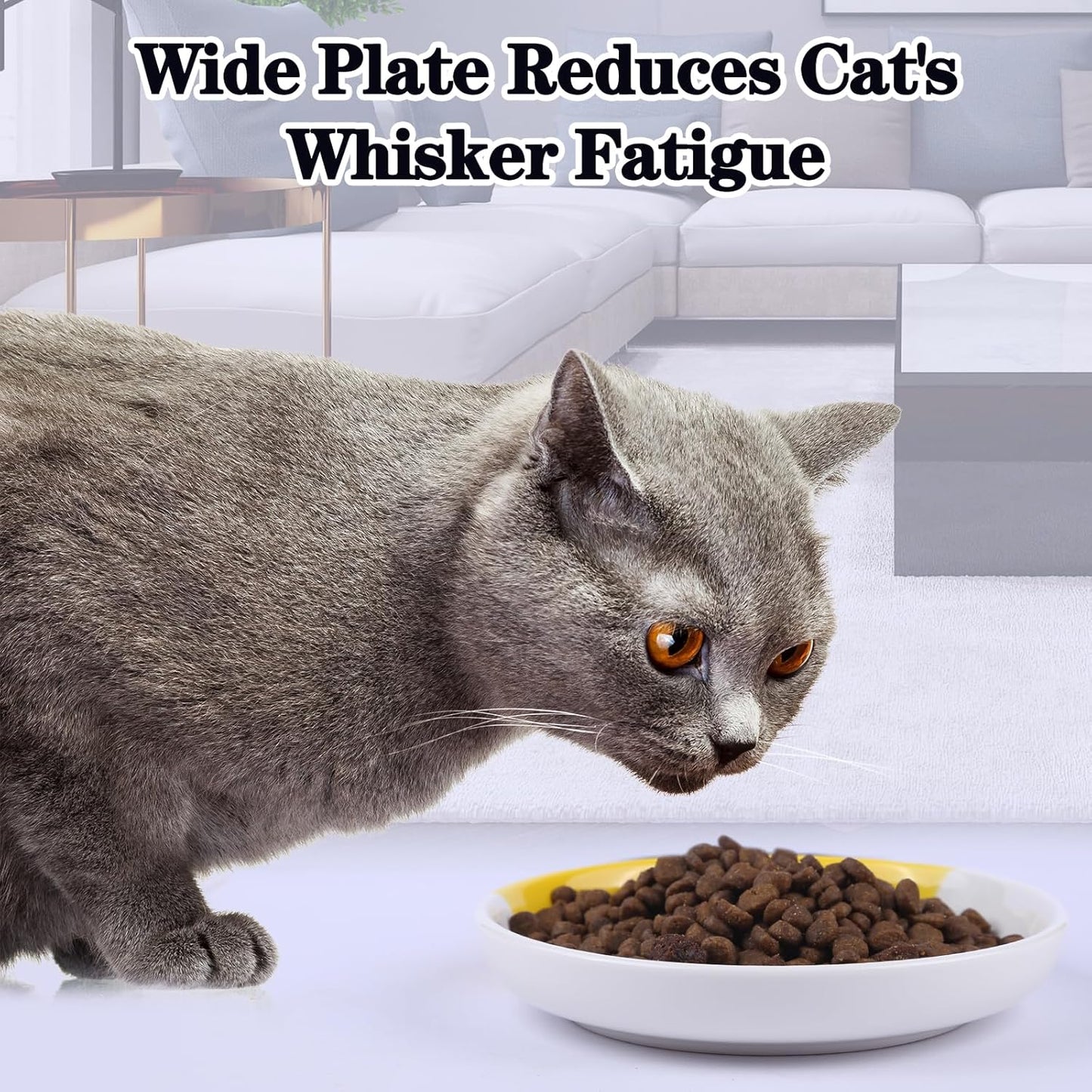 Cat Food Bowl, Healthy Ceramic Cat Food and Water Bowl for Indoor Cat, Puppies, Anti Whiskers FatigueCat Dishes Set, Shallow Cat Food Dish for Wet Food, Cat Treat Plate, Dishwasher Safe, 5 Pcak