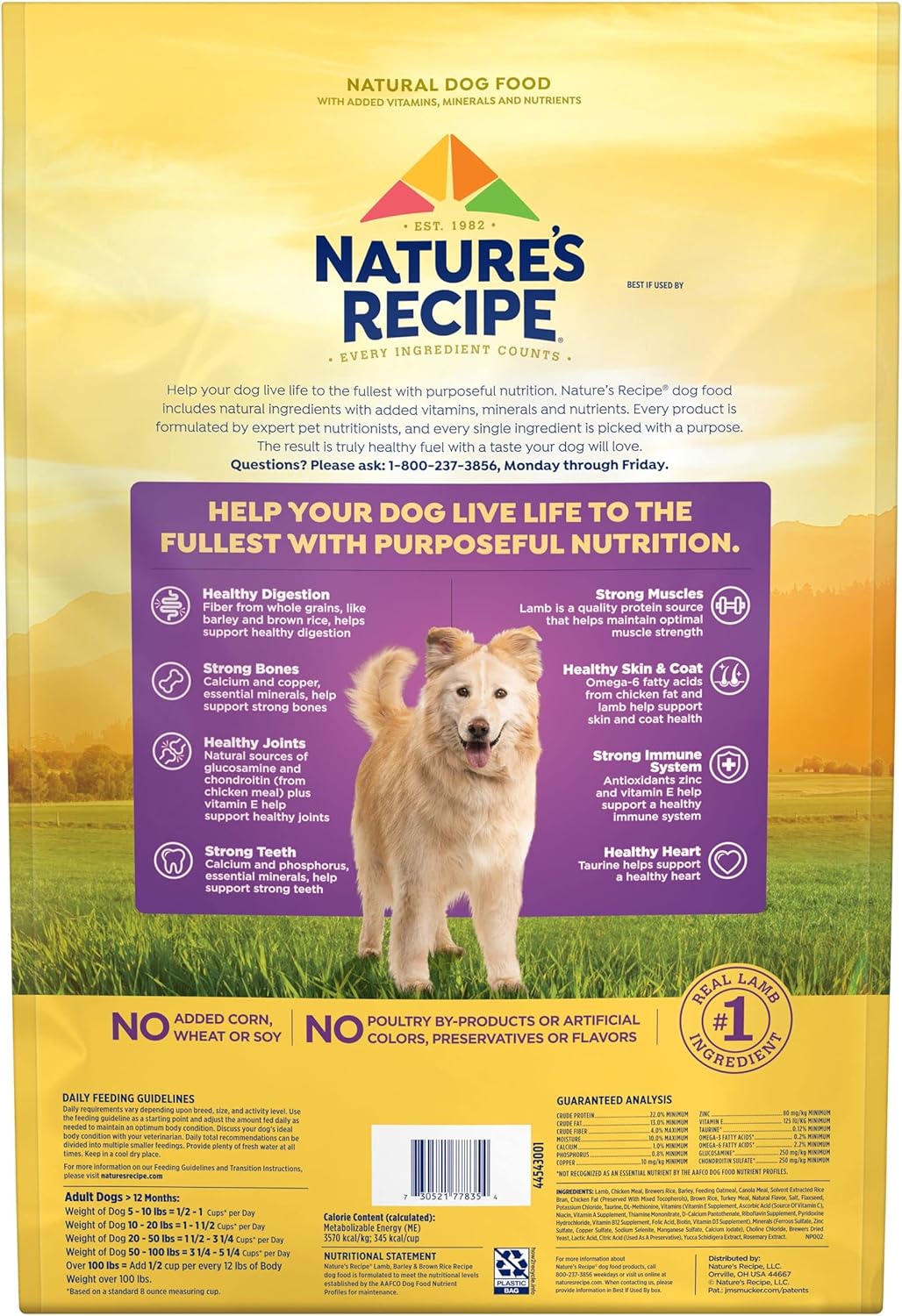 Nature′s Recipe Lamb, Barley & Brown Rice Recipe Dry Dog Food, 12 lb. Bag