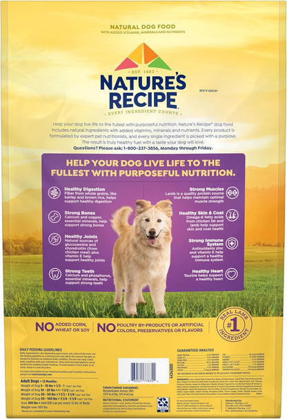 Nature′s Recipe Lamb, Barley & Brown Rice Recipe Dry Dog Food, 12 lb. Bag