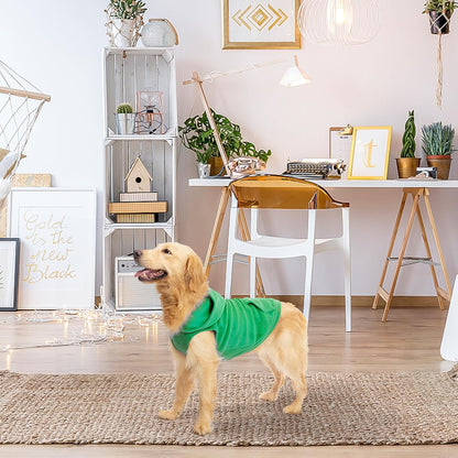 EXPAWLORER Dog Hoodie Fleece Sweater Vest, Hooded Dog Sweatshirt Fall Winter Pet Clothes with Leash Ring, Sleeveless Warm Cozy Puppy Clothing for Cat Small Medium Large Dogs Girl Boy, Green M