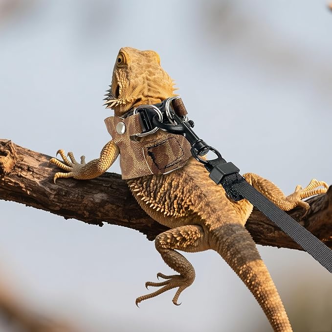 AIITLE 3 Pack Adjustable Bearded Dragon Harness and Leash Set - Leopard Print, Comfort Soft Leather Vest for Lizards, Iguanas, Guinea Pigs, Outdoor Walking & Camping, Brown