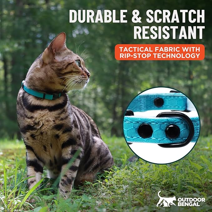 OutdoorBengal Durable Cat Collar Breakaway with Soft Padding for Medium to Large Cats - Heavy Duty Tactical Fabric, Comfortable, Quick Release Breakaway Cat Collars, No Bell Collar (Orange, Adult)