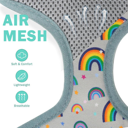 SCENEREAL Small Dog Harness Collar and Leash Set, Adjustable No Pull Pet Harnesses, No Chock Soft Mesh Step in Vest for Doggie Puppy Medium Dogs Cats Girl or Boy,Chihuahua, Yorkie, Outdoor Walking