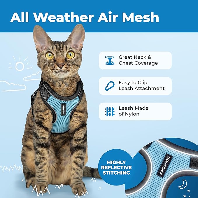 Voyager Escape Proof Cat Harness and Leash Set with Reflective Stitching, Neoprene Handle 5ft - Supports Small, Medium and Large Cats, Kittens for Walking by Best Pet Supplies - BT-Baby Blue, XXS