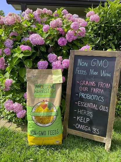 Non-GMO Quail Layer Feed 26% - Premium 10 lb Food for Laying Birds, Button Food