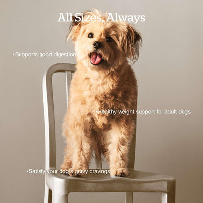 Now Fresh Good Gravy, Bone Broth Coated Kibble, Dry Dog Food, Chicken Adult Recipe with Grains, All Breed Size, 3.5 lb Bag