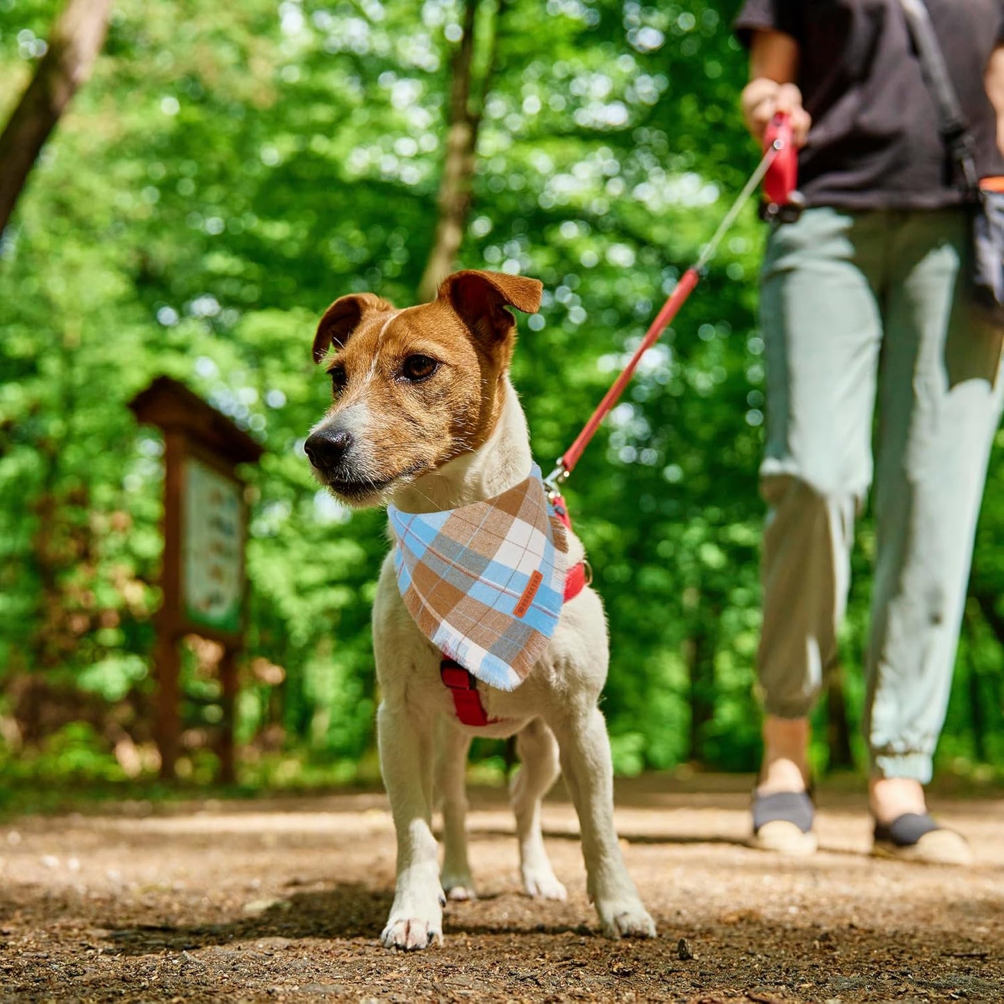 ADOGGYGO Fall Dog Bandanas with Tassels Edges, Stylish Plaid Pet Halloween Thanksgiving Scarf Bib, Orange Plaid Fall Bandanas for Medium Large Dogs Pets (Large)