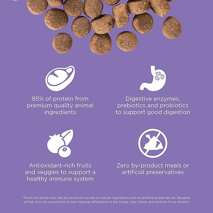 Go! Solutions Carnivore, Grain-Free, Protein Rich Dry Dog Food, Chicken, Turkey and Duck Senior Recipe, 12 lb Bag