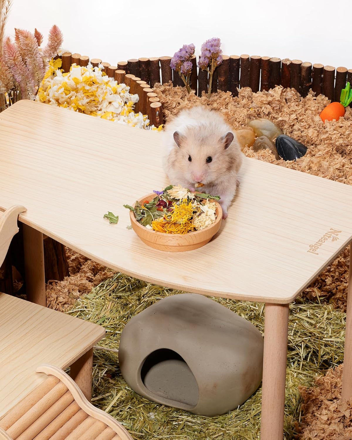 Niteangel Hamster Snack & Treats Toy: - Small Animal Natural Treat Mix for Dwarf Syrian Robo Hamsters Gerbils Mice Lemmings Degus or Other Small-Sized Pets (Vegetable Combo)