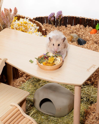 Niteangel Hamster Snack & Treats Toy: - Small Animal Natural Treat Mix for Dwarf Syrian Robo Hamsters Gerbils Mice Lemmings Degus or Other Small-Sized Pets (Vegetable Combo)