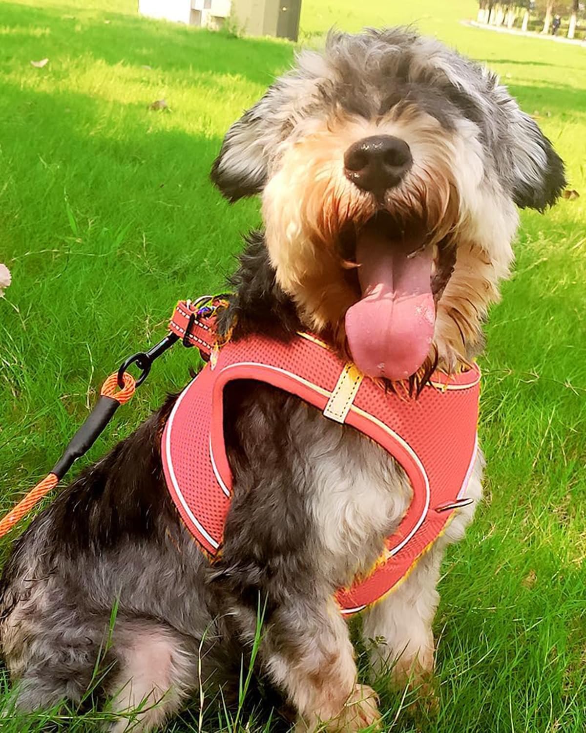 Joytale Small Dog Harness, Breathable Mesh Step-in Vest, Reflective Soft Padded Harnesses for Small and Medium Dogs, Pink, L