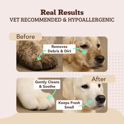 Natural Dog Company XL Grooming Wipes for Dogs – Hypoallergenic, Biodegradable, Fragrance Free – Aloe Vera & Witch Hazel – Large 7×8 in Wipes for Paws, Face, Ears & Butt – 200 Count Sensitive Skin