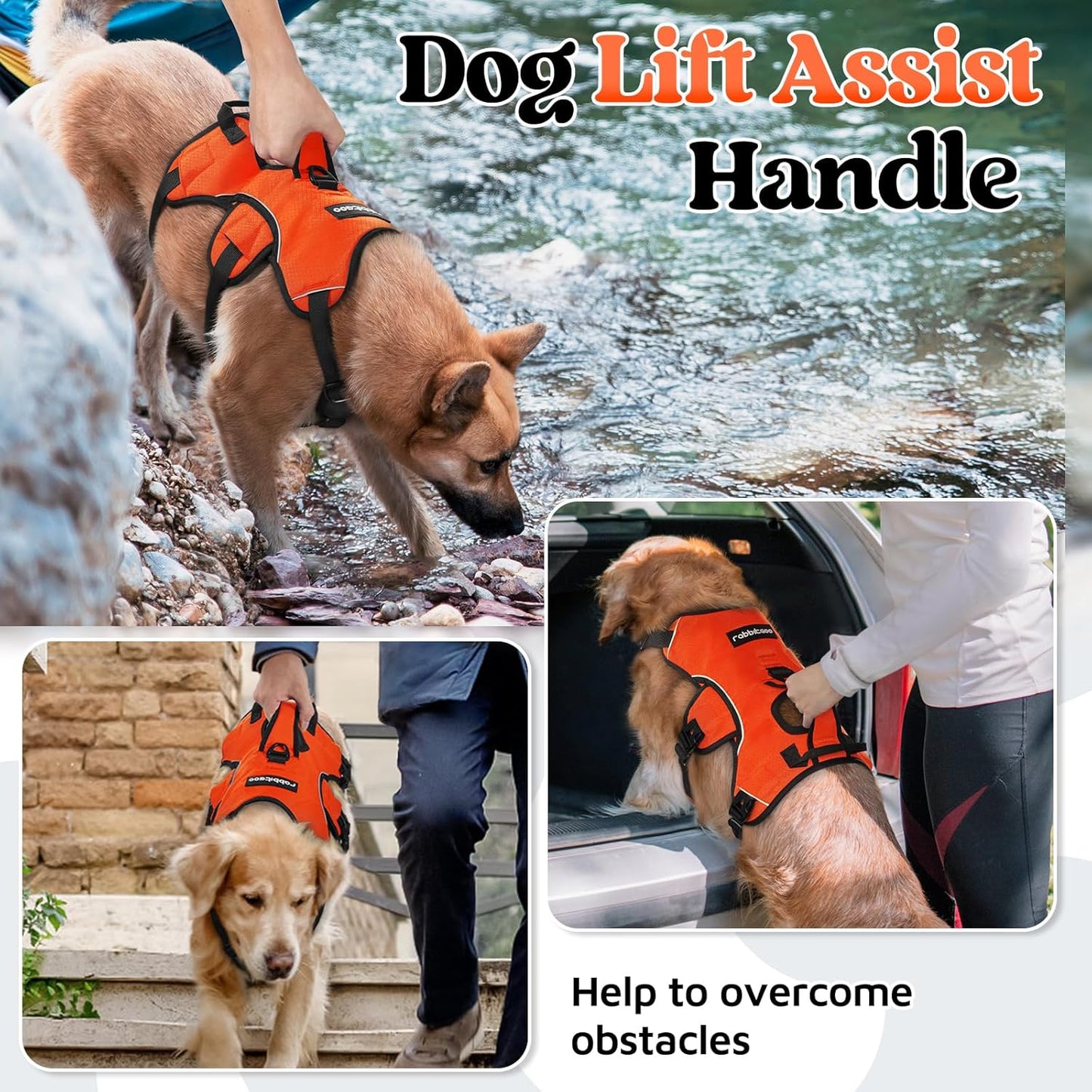 rabbitgoo Escape Proof Dog Harness, Soft Padded Full Body Pet Harness, Reflective Adjustable No Pull Vest with Lift Handle and Leash Clip for Large Dogs Walking Hiking Training, L, Orange