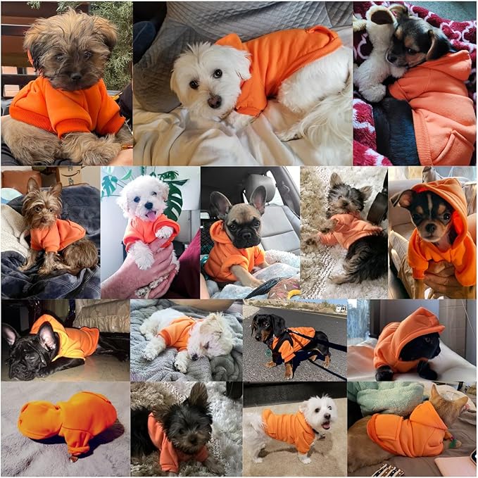 Jecikelon Winter Dog Hoodie Sweatshirts with Pockets Warm Dog Clothes for Small Dogs Chihuahua Coat Clothing Puppy Cat Custume (Orange, Small)