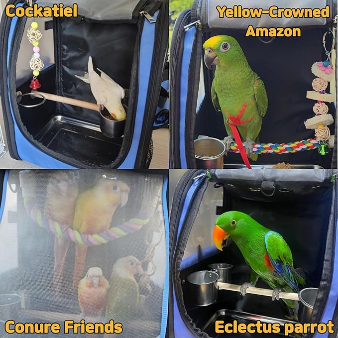 Birds Day Bird Carrier Backpack-Parrot Travel Cage with 2PCS Perch and Food Bowl, Stainless Steel Tray (Sky Blue)