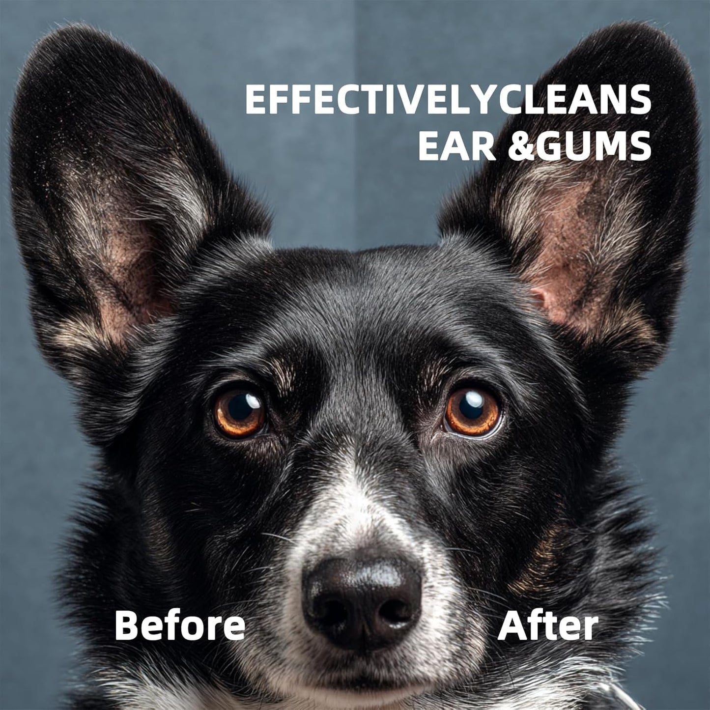 Dog Ear Wipes, Ear Wipes for Dogs, Cat Ear Wipes, Dog Ear Cleaning Wipes, Cat Wipes, Pet Wipes for Cats, Cat Cleaning Wipes – Pet Ear Cleaning Finger Wipes for Cats: Ear Wipes, Weekly Care