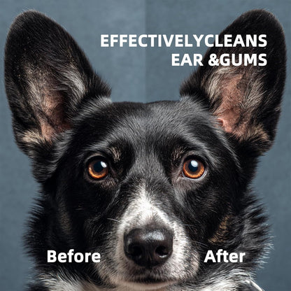 Dog Ear Wipes, Ear Wipes for Dogs, Cat Ear Wipes, Dog Ear Cleaning Wipes, Cat Wipes, Pet Wipes for Cats, Cat Cleaning Wipes – Pet Ear Cleaning Finger Wipes for Cats: Ear Wipes, Weekly Care