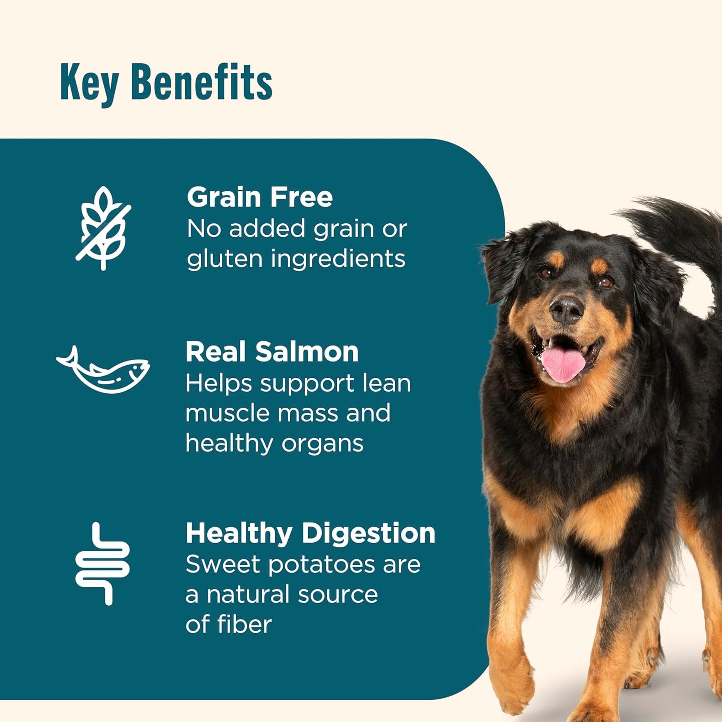 Nutrish Grain Free Salmon & Sweet Potato Recipe Dry Dog Food, 11.5 lb. Bag, Packaging May Vary (Rachael Ray)