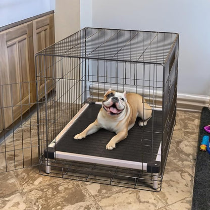 FXW TitanNest Chew-Proof Elevated Dog Bed, Raised Cot for Indoor/Outdoor/Camping Use, Durable & Waterproof Cooling Pet Bed for Small Dogs, 35.0" L x 22.0" W x 4.5" H, Black