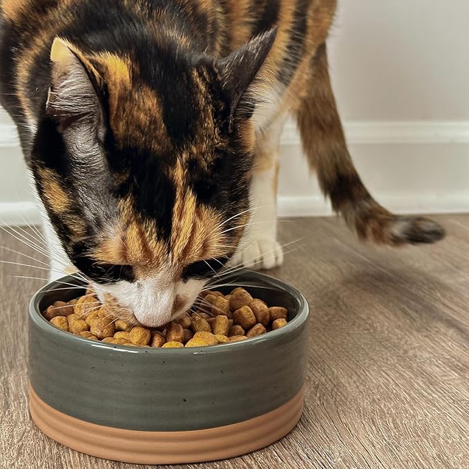 Mora Ceramic Pet Bowl Size Small - Food/Water Dish for Puppy Dogs, Cats, Guinea Pig, Rabbit, Hamster, Snake, ect. 11oz or 2 Cups - Basic Bowls for Your Dog or Cat, Mix and Match for a Set - Charcoal