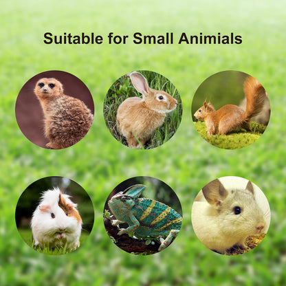 2pcs Figure 8 Harness and Leash with Reflective Strap and Bell for Ferrets, Rabbits, Bearded Dragon, Guinea Pig, Chinchilla and Hamster Small Animal Harness (Blue+Pink)