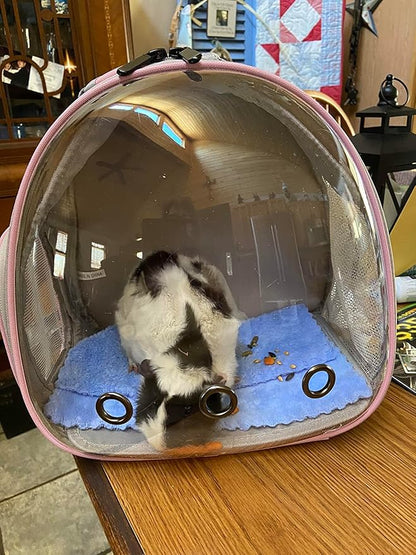 Hamster Backpack Carrier, Bearded Dragon Carrier Backpack with Clear Bubble Window,Small Animal Travel Backpack for Sugar Glider Hedgehog Rat Parrot, Airline Approved (Blue, Backpack)