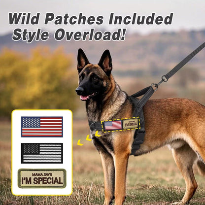 Forestpaw No Pull Dog Harness with Large Handle,Slip on Reflective Vest with Quick Release Buckle,Comfortable Flannel Lining for Medium Large Dogs Walking Training (Includes 3 Patches),Black L