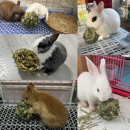 Rabbit Chew Ball Timothy Grass Grinding Small Animal Activity Play Chew Toys for Bunny Rabbits Hamster Guinea Pigs Gerbils (5 PCS)