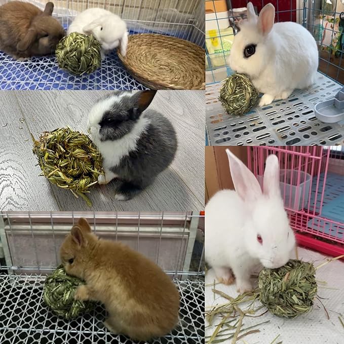 Hamiledyi Rabbit Chew Ball Timothy Grass Grinding Small Animal Activity Play Chew Toys for Bunny Rabbits Hamster Guinea Pigs Gerbils