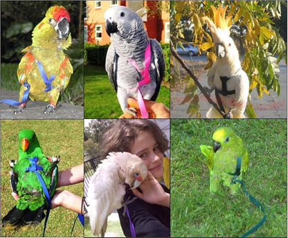 The AVIATOR Pet Bird Harness Medium Red