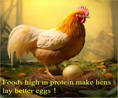 11lb Dried mealworms - High Protein, Pure Natural, Delicious - Ideal for Chickens, Birds, Ducks, Lizards, Turtles, Fish, and Reptiles, 11lbs Meal Worms