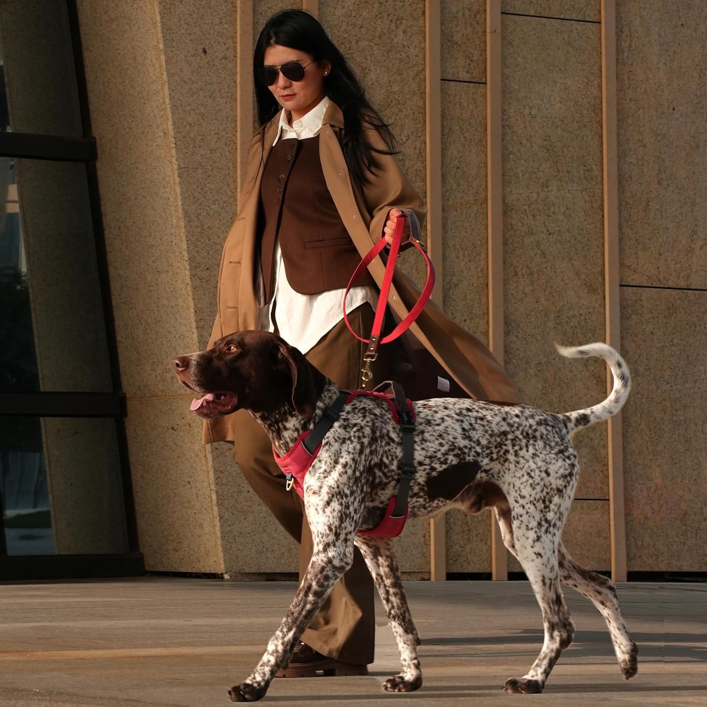 No Pull Dog Harness Medium Sized Dog,Stylish PU Leather Vest with Easy Control Handle,No Choke Front Clip with 2 Metal Leash Clips,Reflective & Adjustable for Walking,Red,Chest 27-33"