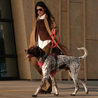 No Pull Dog Harness Medium Sized Dog,Stylish PU Leather Vest with Easy Control Handle,No Choke Front Clip with 2 Metal Leash Clips,Reflective & Adjustable for Walking,Red,Chest 27-33"