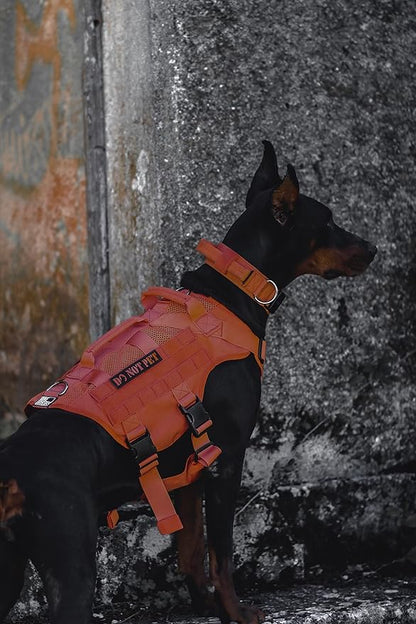 OneTigris - Tactical Dog Harness No Pull for Medium Dogs, Breathable Mesh Design, Service Dog Vest with Handle and Molle Bags, Adjustable Suit for Walking Hiking
