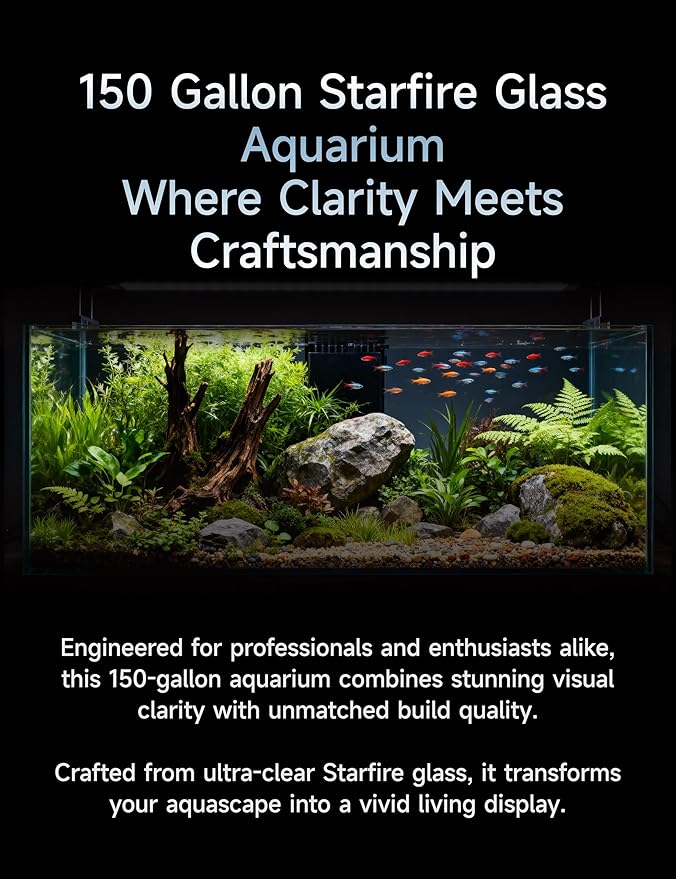 150G-3H-P Starfire Aquarium 60x24x24 H 12mm Built-in Overflow Peninsula Style