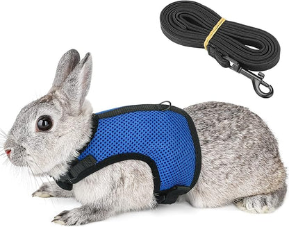 PETTOM Bunny Rabbit Harness with Stretchy Leash Cute Adjustable Buckle Breathable Mesh Vest for Kitten Small Pets Walking (Blue,XL)